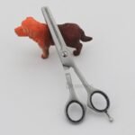 Professional Pet Grooming Scissors