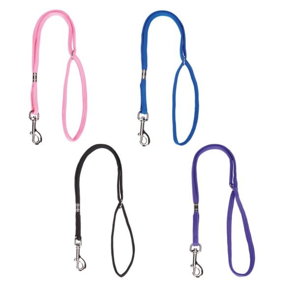 Adjustable Grooming Loops for Pets in Assorted Colors