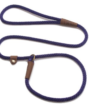 Durable Braided Nylon Dog Leash with Leather Accents