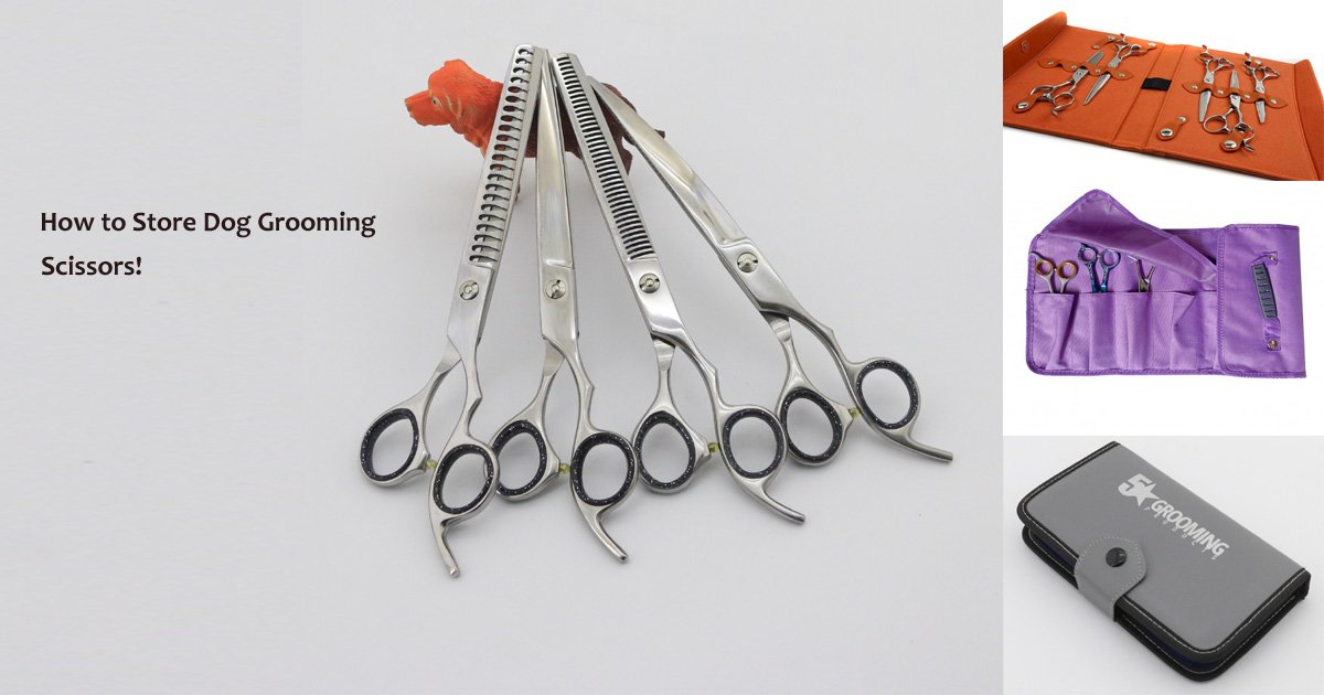How-to-Store-your-Scissors