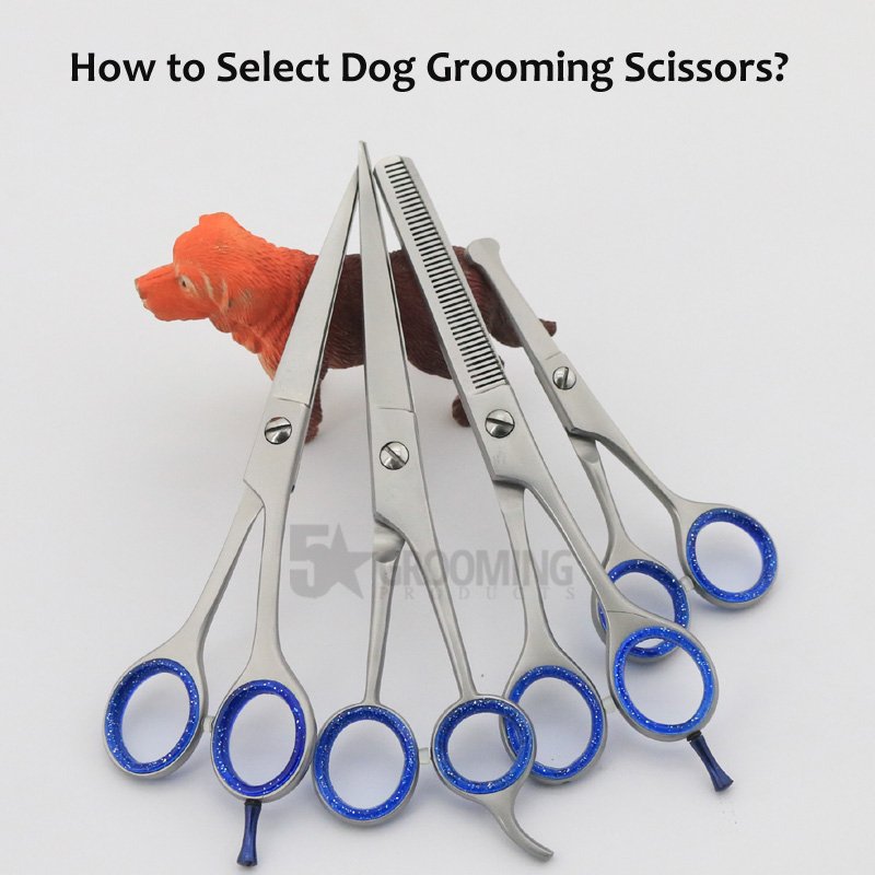How to select Dog Grooming scissors