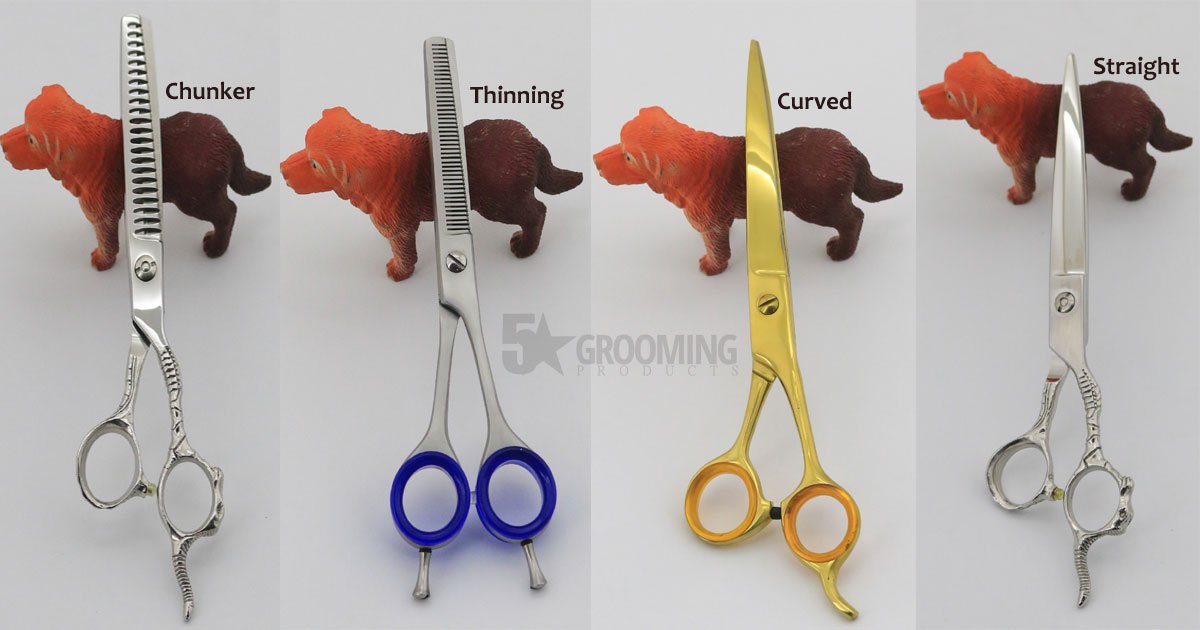 types of dog grooming scissors blog
