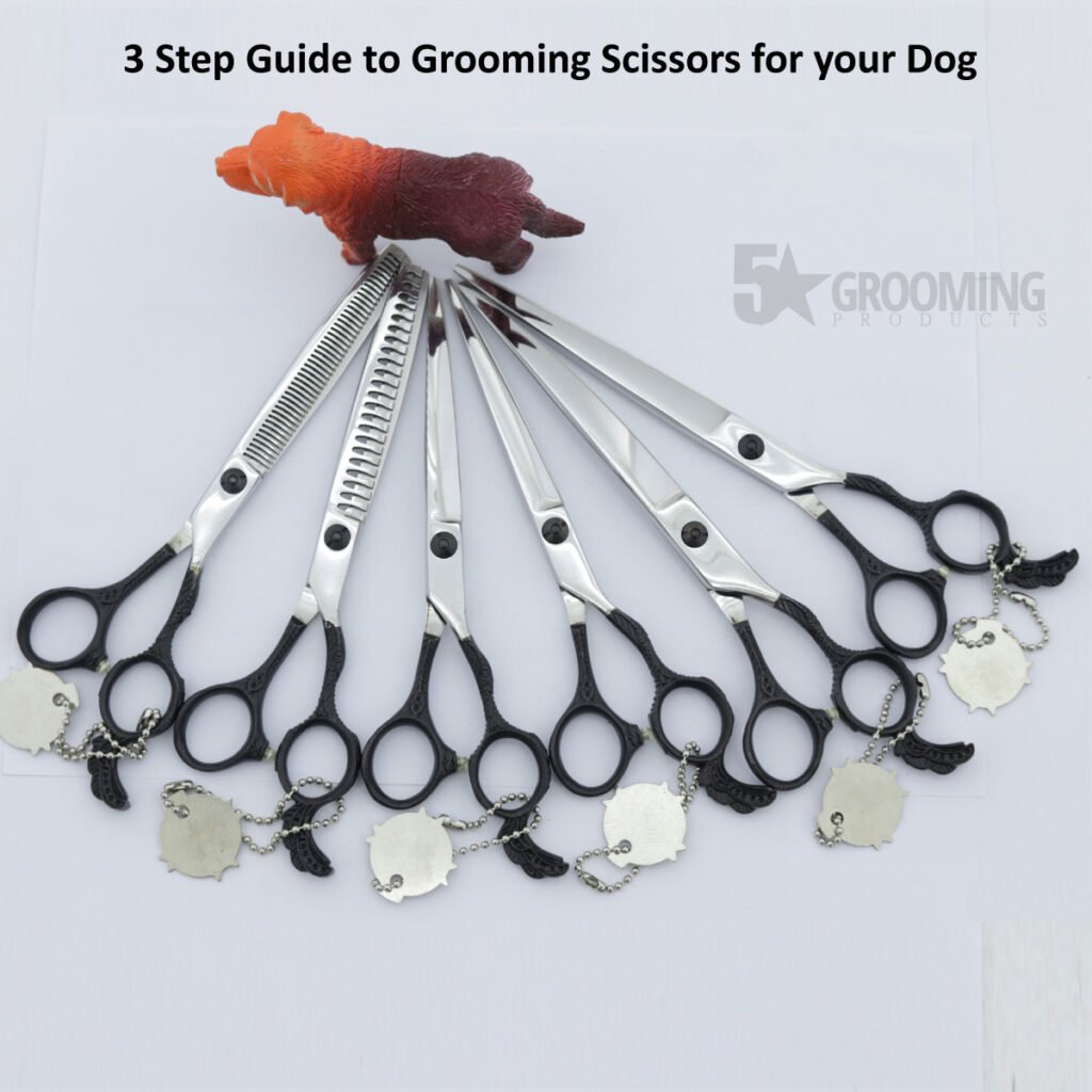 3 Step Guide to Grooming Scissors